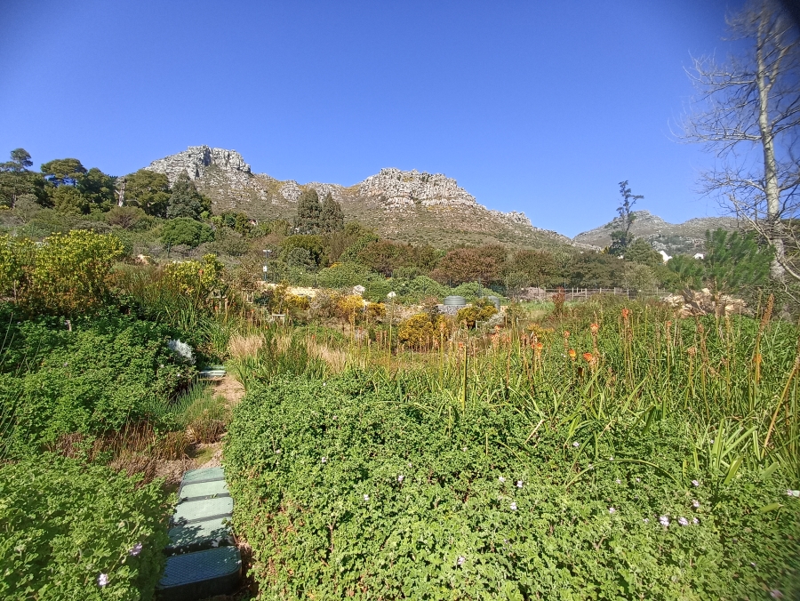 3 Bedroom Property for Sale in Hout Bay Western Cape